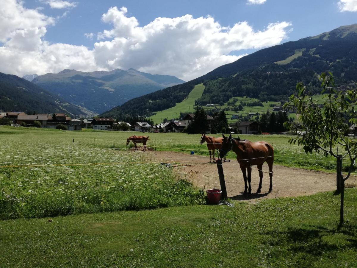 Casa Giulia Apartman Bormio Kültér fotó