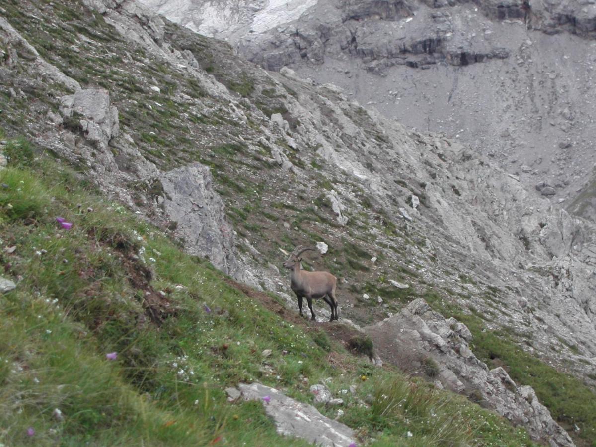 Casa Giulia Apartman Bormio Kültér fotó