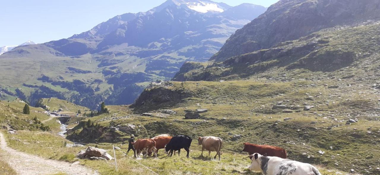 Casa Giulia Apartman Bormio Kültér fotó